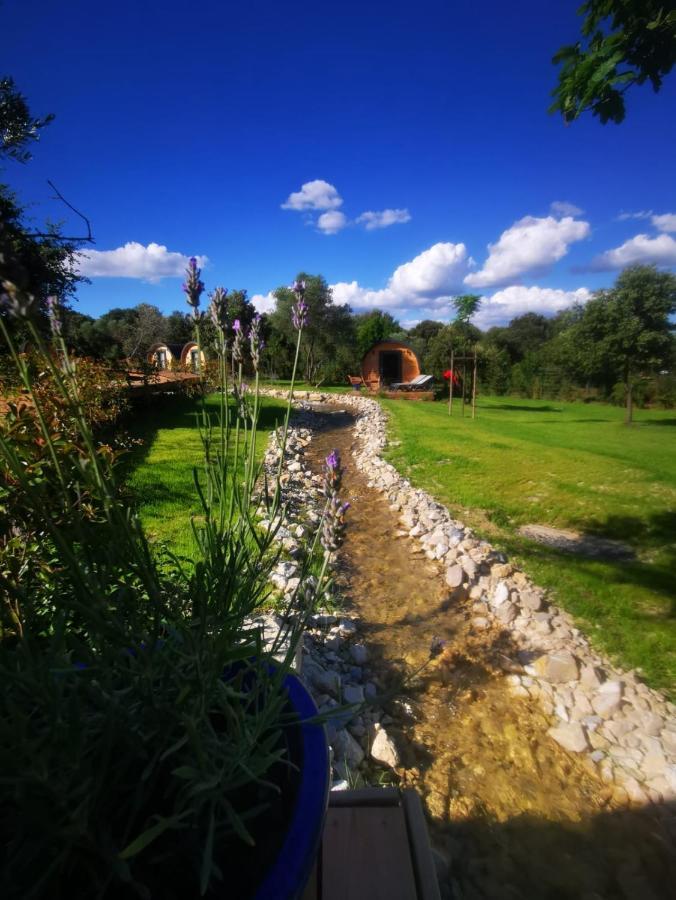 Camping Les Pres Du Roi Sommières Buitenkant foto