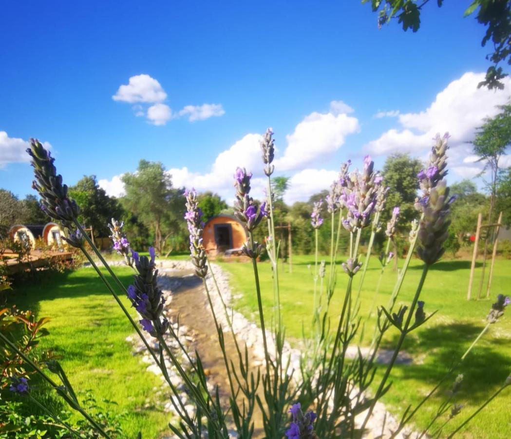 Camping Les Pres Du Roi Sommières Buitenkant foto